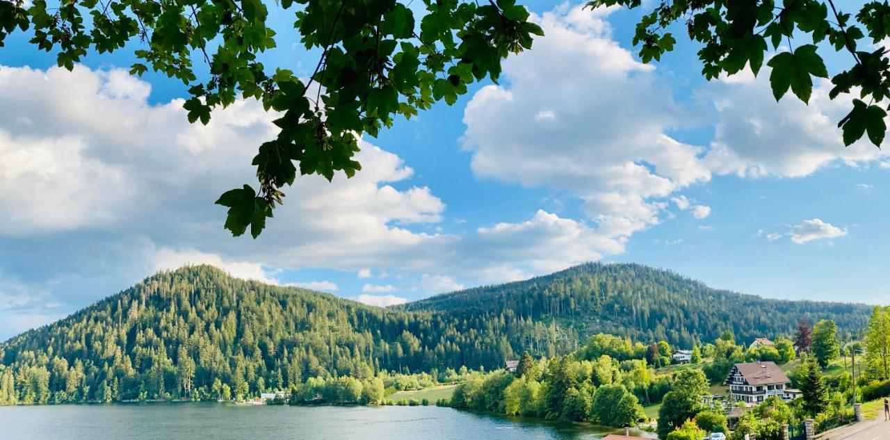 Le Chalet Au Bord Du Lac Gérardmer Kültér fotó